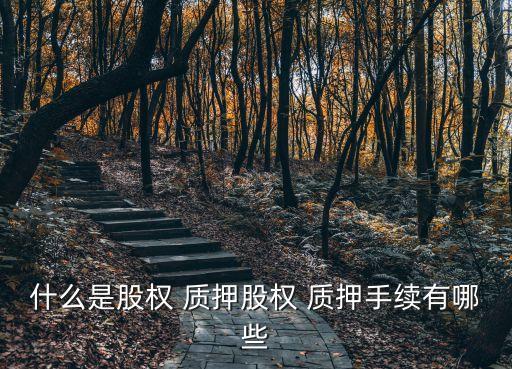 什么是股權 質押股權 質押手續(xù)有哪些