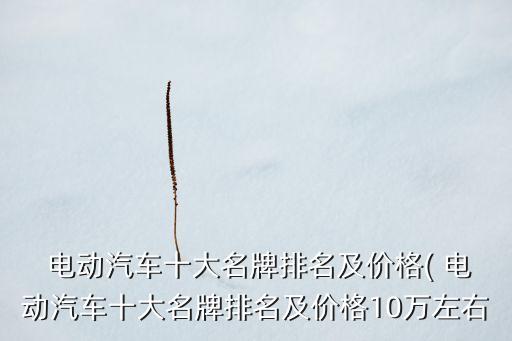  電動汽車十大名牌排名及價格( 電動汽車十大名牌排名及價格10萬左右