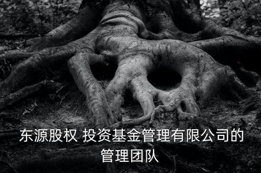  東源股權(quán) 投資基金管理有限公司的管理團(tuán)隊(duì)