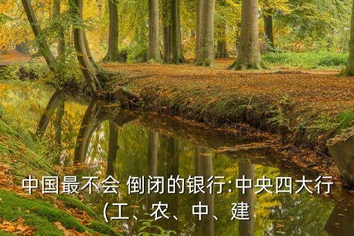 中國最不會 倒閉的銀行:中央四大行(工、農(nóng)、中、建