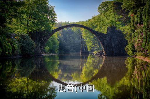 惠普企業(yè)業(yè)務集團