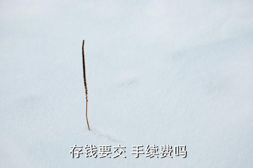 建行的銀行卡存錢收手續(xù)費么,建行異地存錢收手續(xù)費嗎