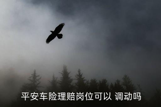  平安車(chē)險(xiǎn)理賠崗位可以 調(diào)動(dòng)嗎