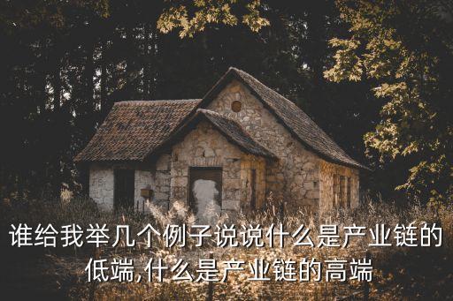 誰給我舉幾個(gè)例子說說什么是產(chǎn)業(yè)鏈的 低端,什么是產(chǎn)業(yè)鏈的高端