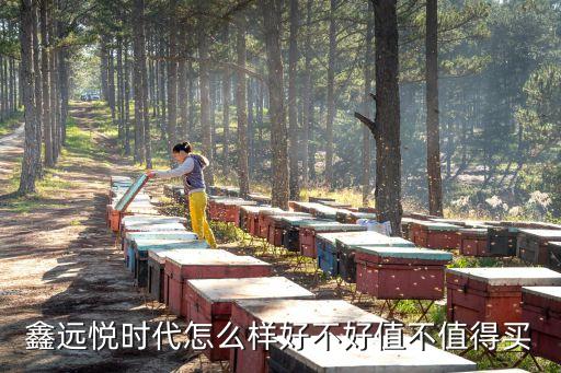 鑫遠(yuǎn)悅時(shí)代怎么樣好不好值不值得買