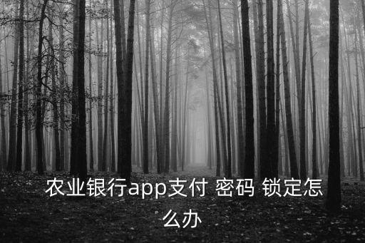 農(nóng)業(yè)銀行手機(jī)銀行密碼被鎖定