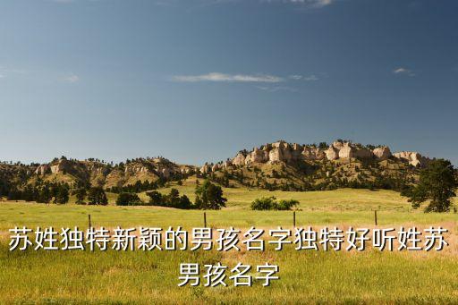 蘇姓獨(dú)特新穎的男孩名字獨(dú)特好聽姓蘇男孩名字