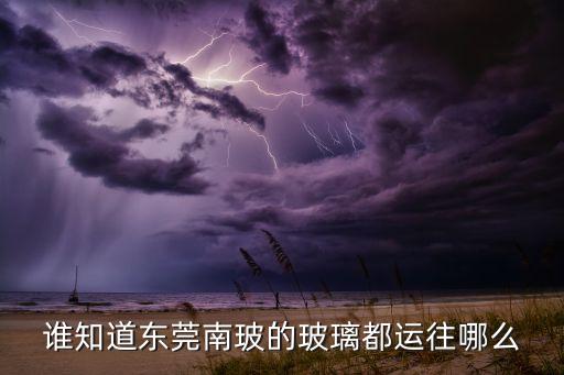 南玻集團子公司有多少