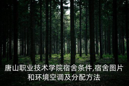曹妃甸實(shí)業(yè)港務(wù)有限公司拖輪,唐山曹妃甸實(shí)業(yè)港務(wù)有限公司是國(guó)企嗎
