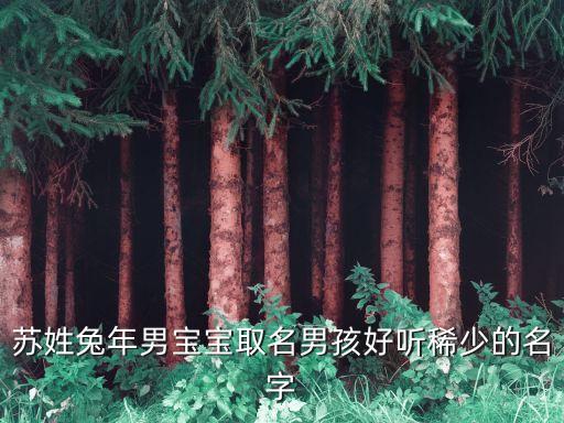 成都弘蘇投資,成都菁弘投資集團(tuán)胡