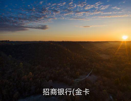招商銀行國際借記卡,目前國內(nèi)辦不了visa借記卡嗎