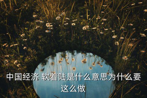 中國實現(xiàn)軟著陸軟著陸,月球軟著陸和月球背面軟著陸