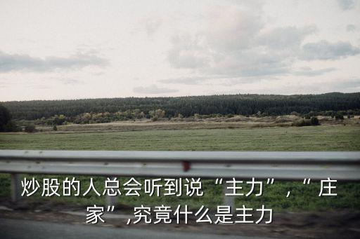 炒股的人總會聽到說“主力”,“ 莊家”,究竟什么是主力