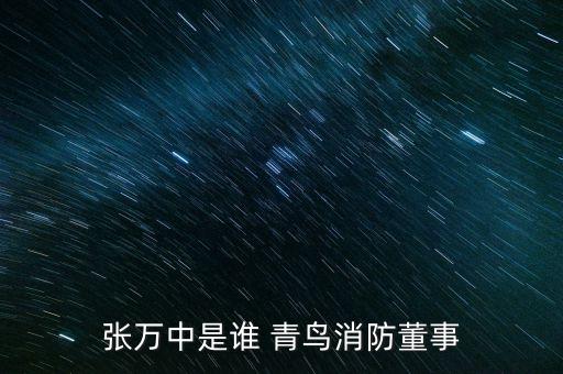 張萬(wàn)中是誰(shuí) 青鳥(niǎo)消防董事