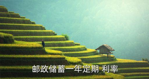  郵政儲蓄一年定期 利率