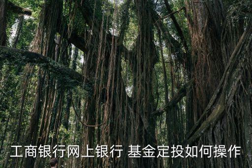 工商銀行網(wǎng)上銀行 基金定投如何操作