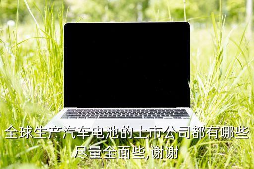 全球生產汽車電池的上市公司都有哪些盡量全面些,謝謝