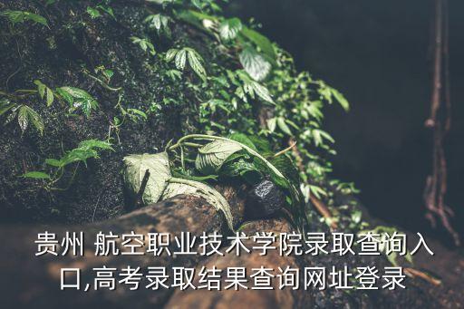  貴州 航空職業(yè)技術學院錄取查詢入口,高考錄取結果查詢網址登錄