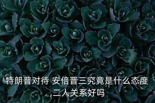 安倍會見中國高中生