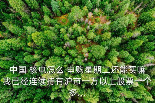 中國 核電怎么 申購星期二還能買嘛我已經連續(xù)持有滬市一萬以上股票一個多...