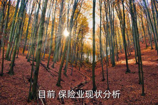 中國保險(xiǎn)業(yè)發(fā)展?fàn)顩r,對(duì)中國保險(xiǎn)業(yè)發(fā)展的看法