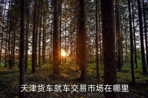  天津貨車(chē)就車(chē)交易市場(chǎng)在哪里