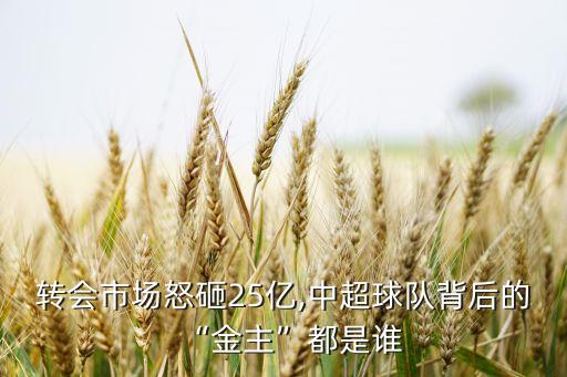 綠地集團(tuán)企業(yè)性質(zhì),平安集團(tuán)企業(yè)性質(zhì)