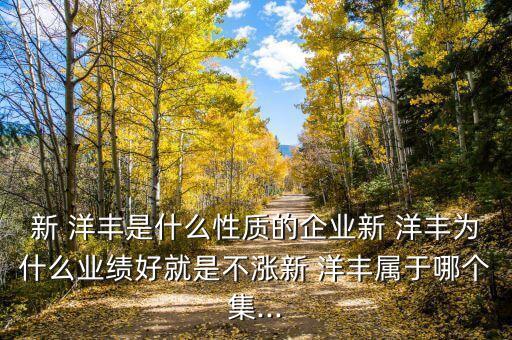 新 洋豐是什么性質(zhì)的企業(yè)新 洋豐為什么業(yè)績(jī)好就是不漲新 洋豐屬于哪個(gè)集...