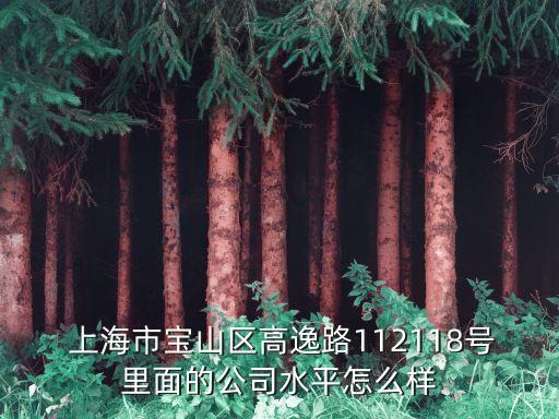  上海市寶山區(qū)高逸路112118號里面的公司水平怎么樣