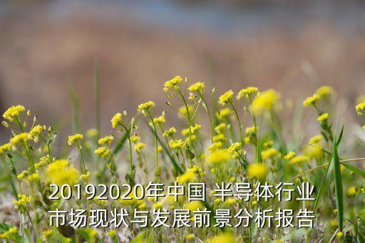 20192020年中國 半導體行業(yè)市場現(xiàn)狀與發(fā)展前景分析報告