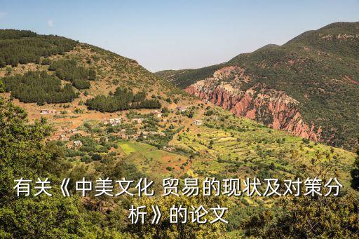 有關(guān)《中美文化 貿(mào)易的現(xiàn)狀及對(duì)策分析》的論文