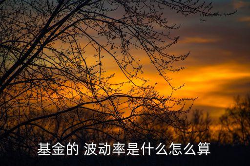 基金的 波動(dòng)率是什么怎么算