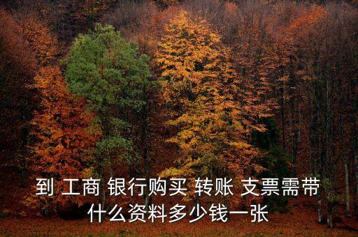 到 工商 銀行購買 轉賬 支票需帶什么資料多少錢一張