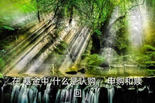 在 基金中,什么是認購、 申購和贖回