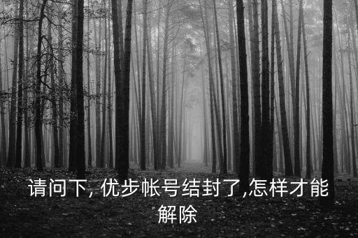 請問下, 優(yōu)步帳號結(jié)封了,怎樣才能解除