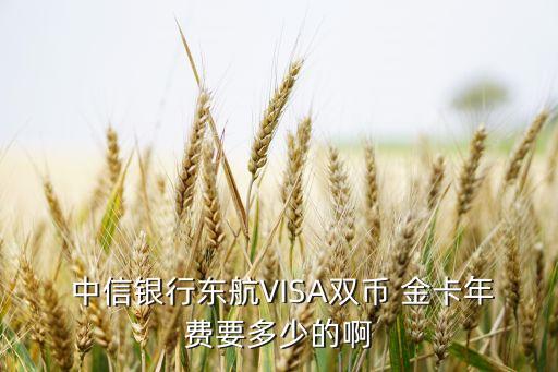  中信銀行東航VISA雙幣 金卡年費要多少的啊