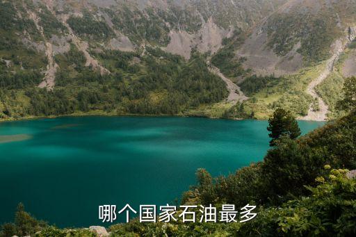 哪個(gè)國(guó)家石油最多