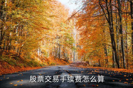股票過戶費收費標準,股票繼承過戶費收費標準2022