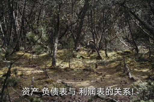  資產(chǎn) 負(fù)債表與 利潤(rùn)表的關(guān)系!