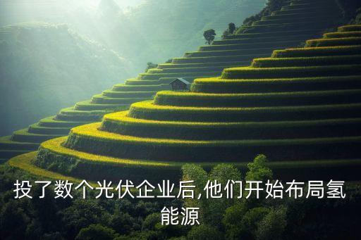 投了數(shù)個光伏企業(yè)后,他們開始布局氫能源