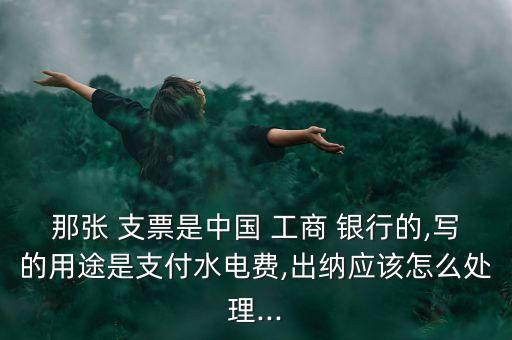 那張 支票是中國 工商 銀行的,寫的用途是支付水電費,出納應該怎么處理...