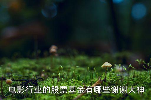 上海電影股價會到多少錢,查詢上海電影的股價