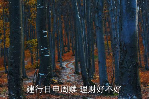 建行日申周贖 理財(cái)好不好