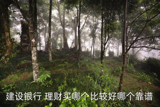 中國建設(shè)銀行理財產(chǎn)品特點