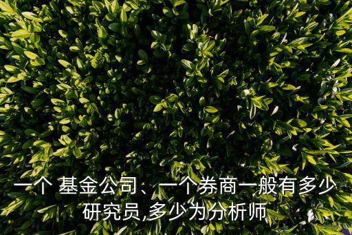 一個 基金公司、一個券商一般有多少研究員,多少為分析師
