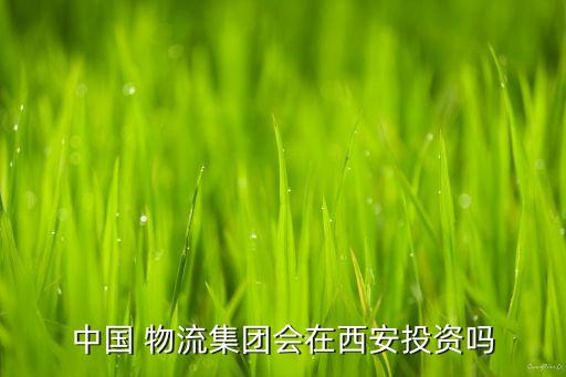 中國 物流集團(tuán)會在西安投資嗎