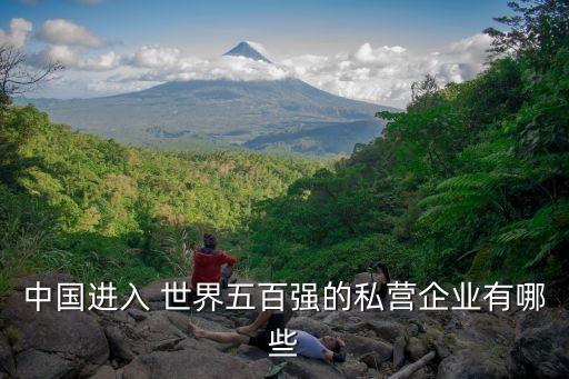 世界500強(qiáng)中國(guó)私企,全國(guó)500強(qiáng)企業(yè)排名