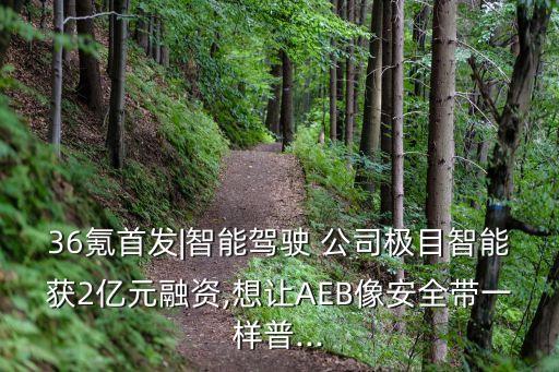 adas公司,ADAS技術公司有哪些