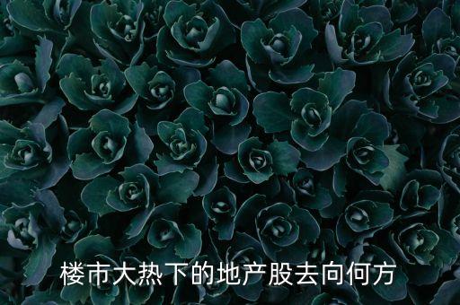 上海土地最多的上市公司,擁有大量土地的農(nóng)業(yè)上市公司
