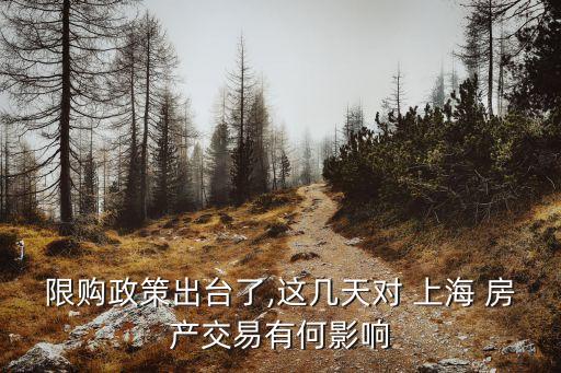 上海房產去化周期